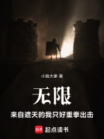 星辰变小说封面