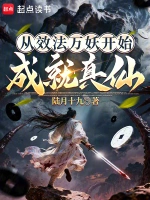星辰变小说封面