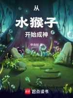 全职高手小说封面