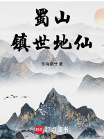 完美世界小说封面