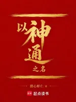 全职高手小说封面