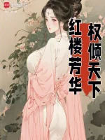 全职高手小说封面