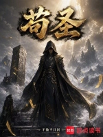 全职高手小说封面